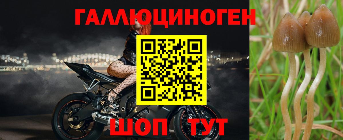 Галлюциногенные грибы ЛСД  Вход с VPN  Костомукша 