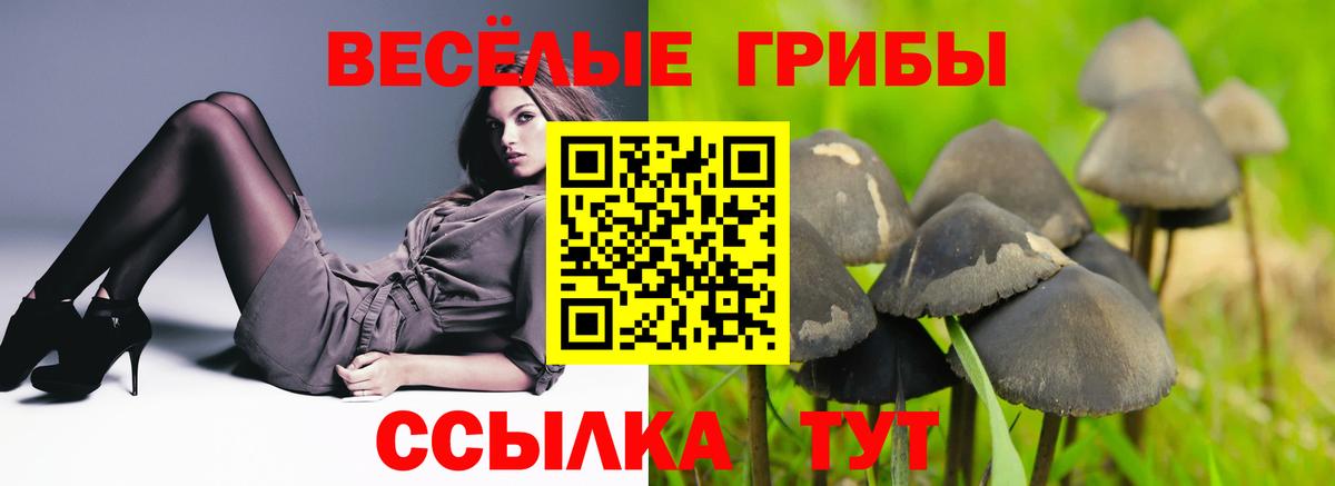 Псилоцибиновые грибы ЛСД Костомукша